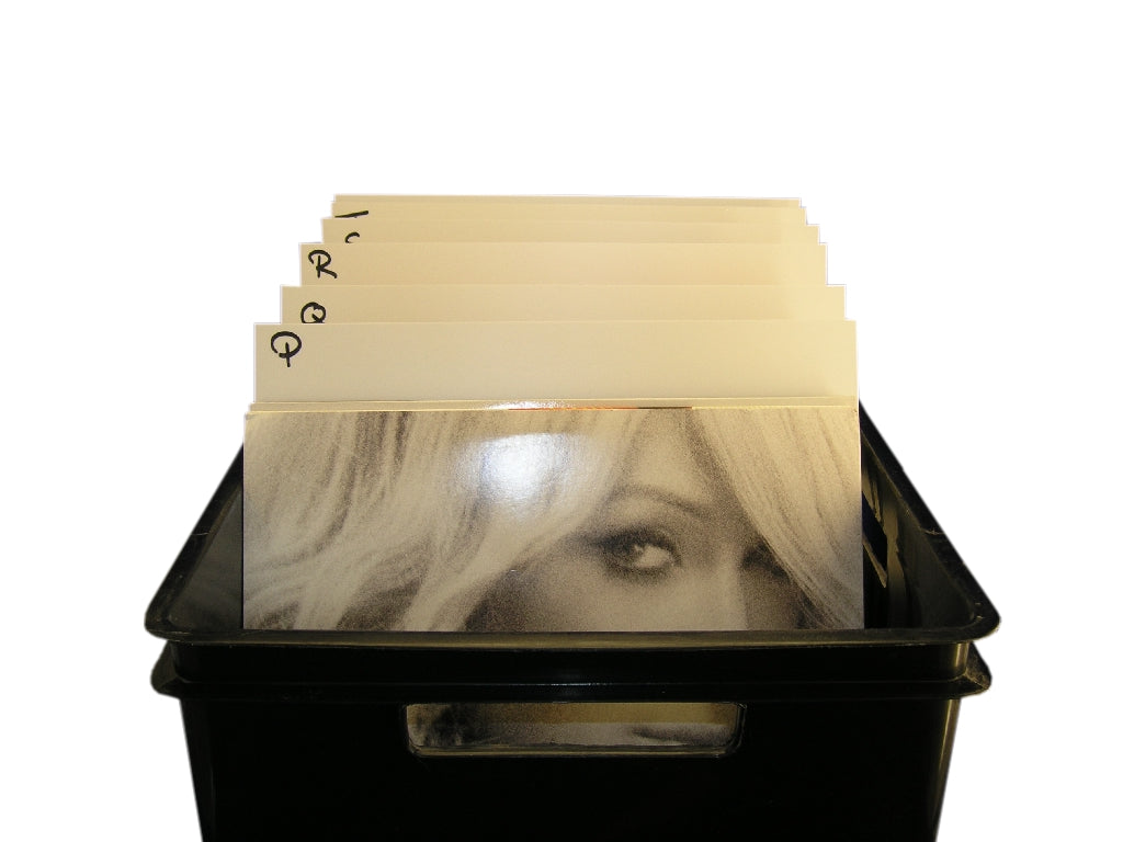 LP Dividers White