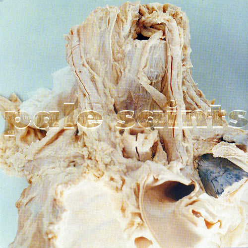 PALE SAINTS - In Ribbons 30th Ann. - LP