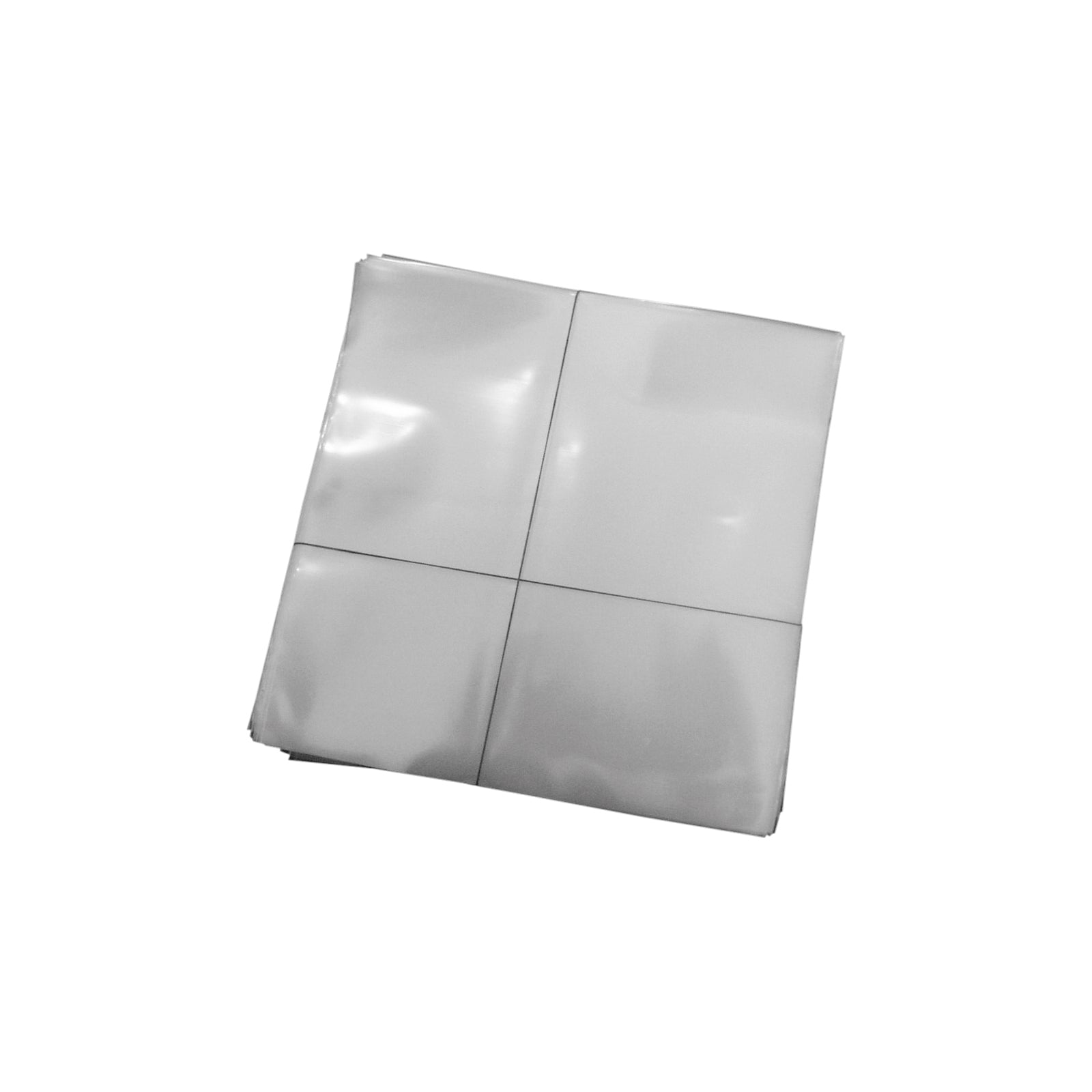 25 cm / 10 Inch Record Protective Sleeves PE