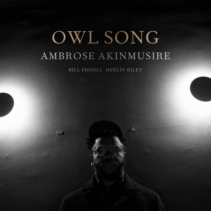 AMBROSE AKINMUSIRE - Owl Song - LP