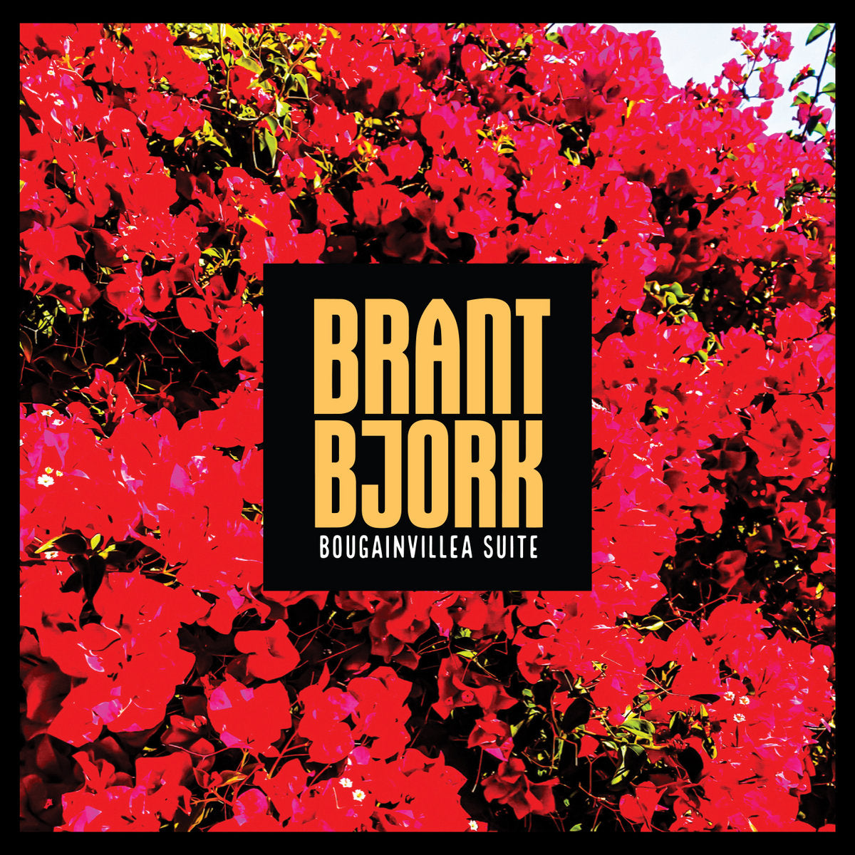 BRANT BJORK - Bougainvillea Suite - Ltd Edition - LP