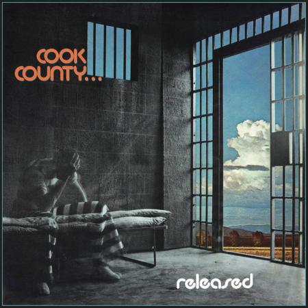 COOK COUNTY - Released - LP