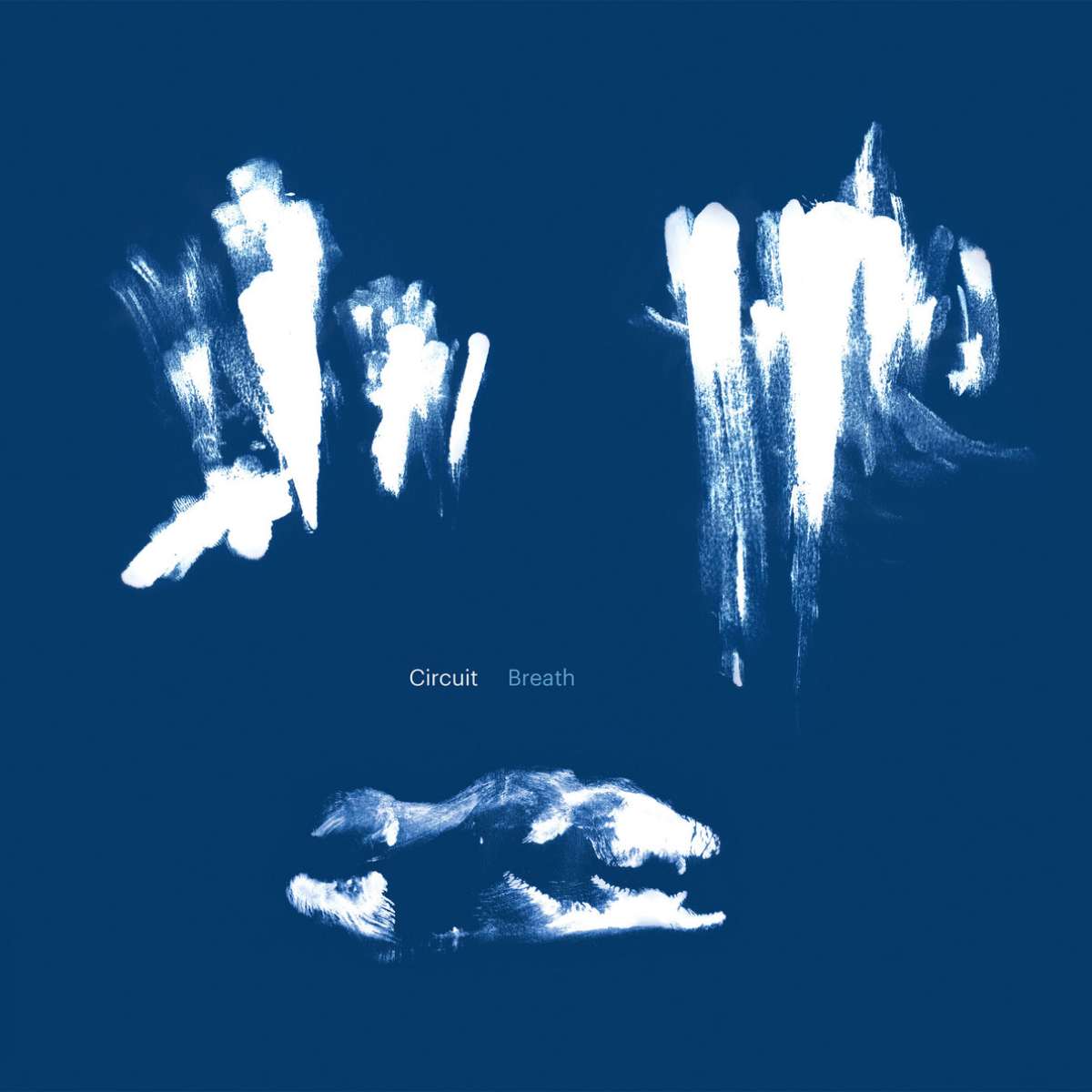 ISABELLE DUTHOIT, ALEN SINKAUZ, NENAD SINKAUZ - Circuit Breath - LP