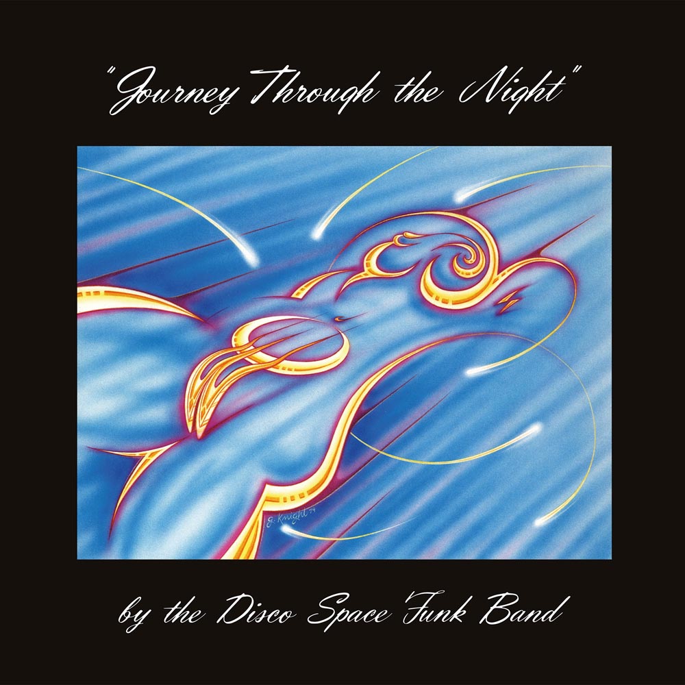 THE DISCO SPACE FUNK BAND - Journey Through The Night - LP