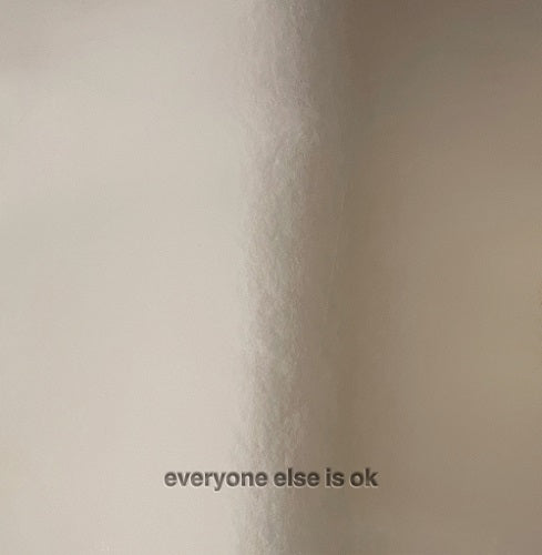 JONATHAN - Everyone Else Is Ok - LP