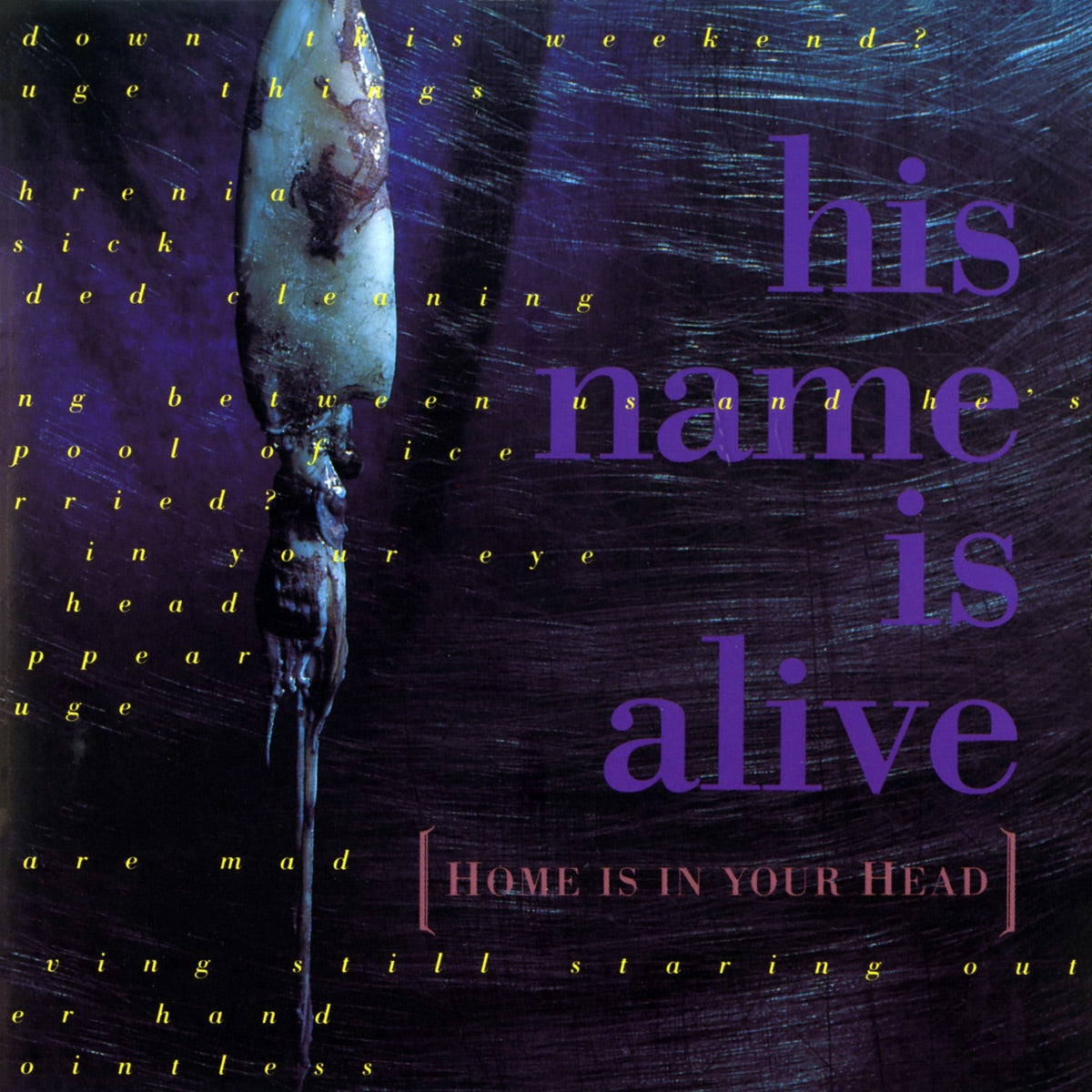 HIS NAME IS ALIVE - Home Is in Your Head - CD