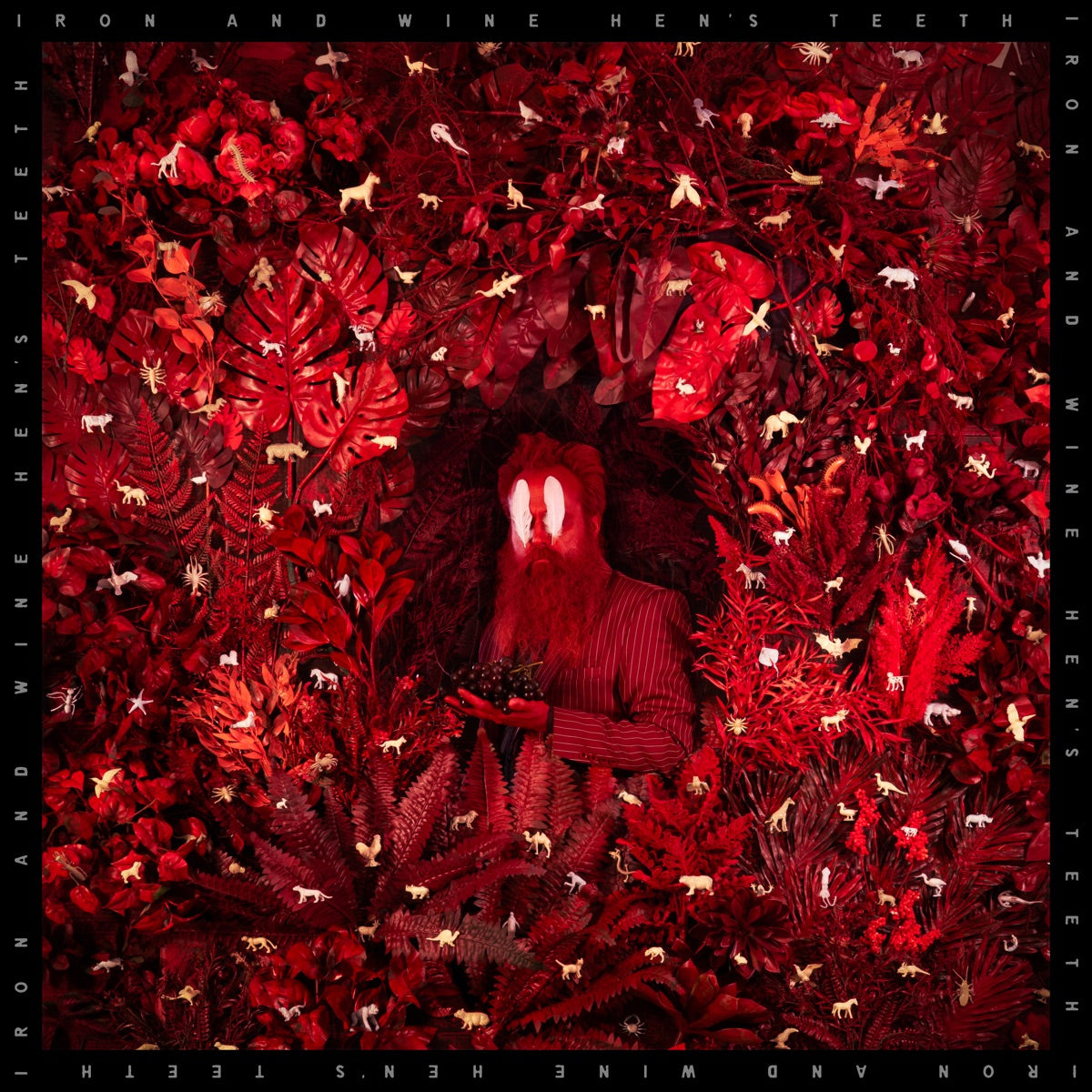 IRON & WINE - Hen's Teeth - CD