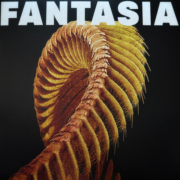 SLIFT - Fantasia (colored) - LP