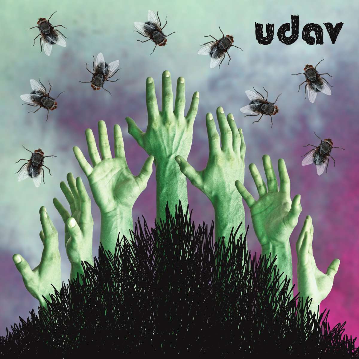 UDAV - Udav - 12"