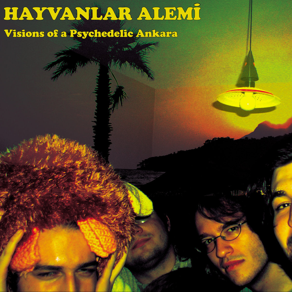 HAYVANLAR ALEMI - Visions Of A Psychedelic Ankara - LP