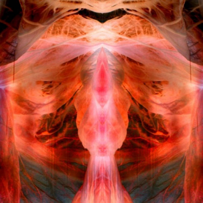 PAUL SCHUTZE - The Annihilating Angel - LP