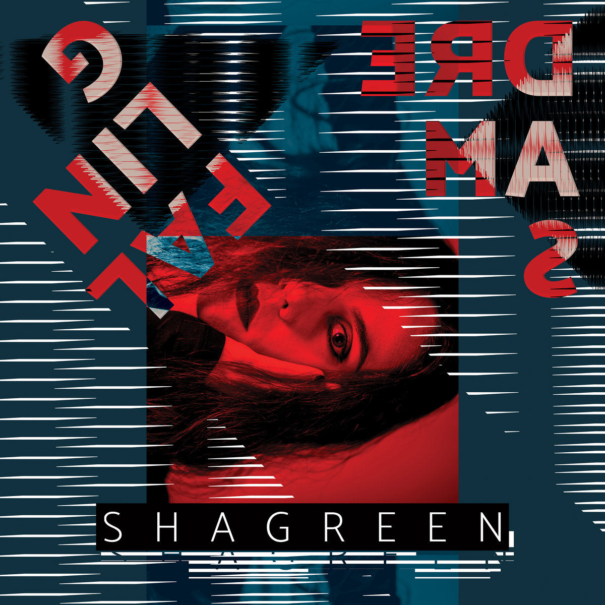 SHAGREEN - Falling Dreams - LP