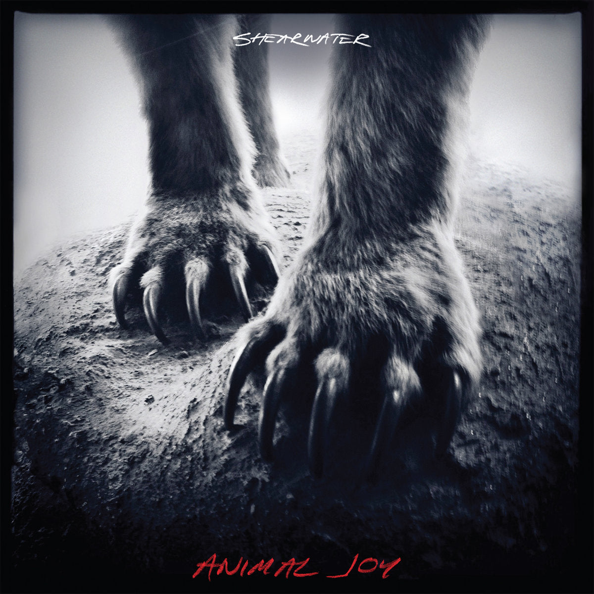 SHEARWATER - Animal Joy - LP