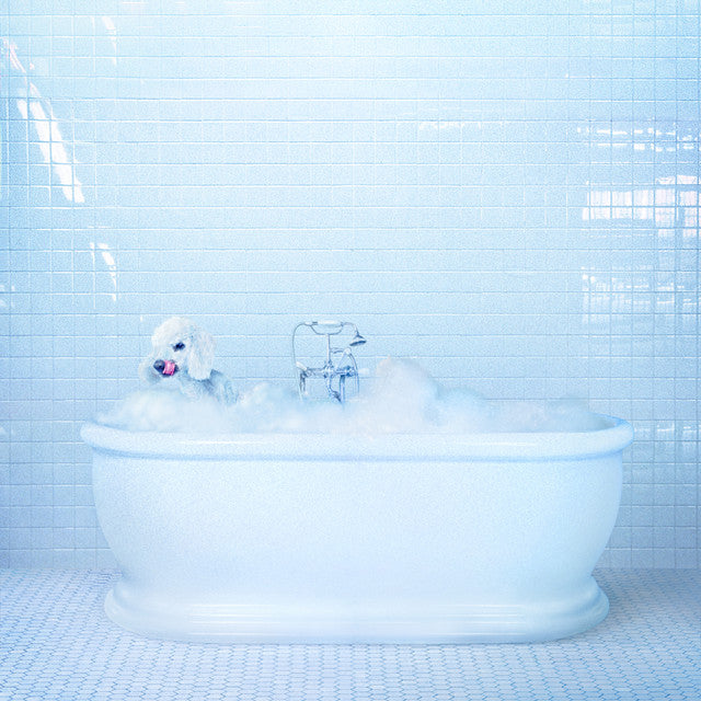 FRANKIE COSMOS - Vessel (colored) - LP