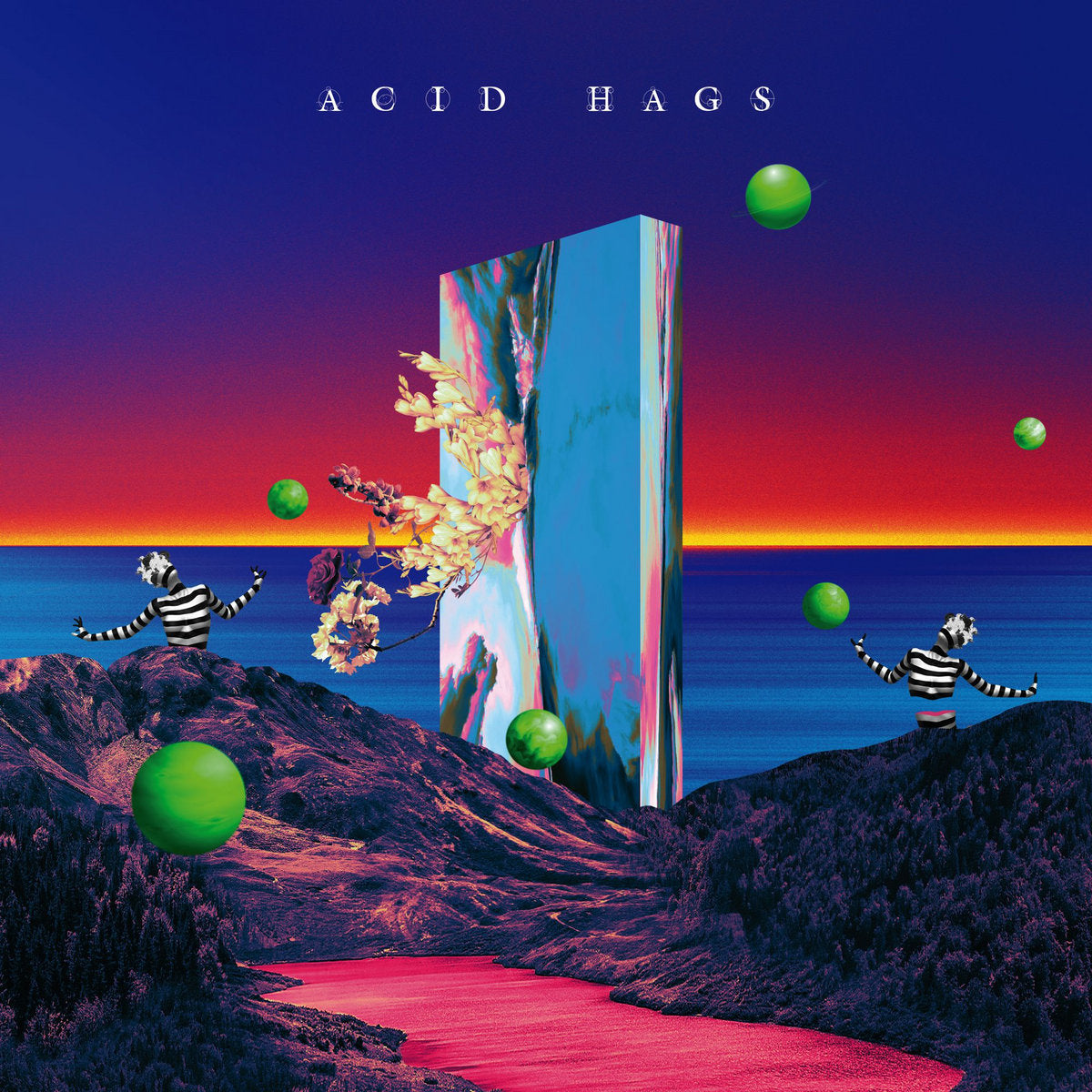 ACID HAGS - Acid Hags - LP
