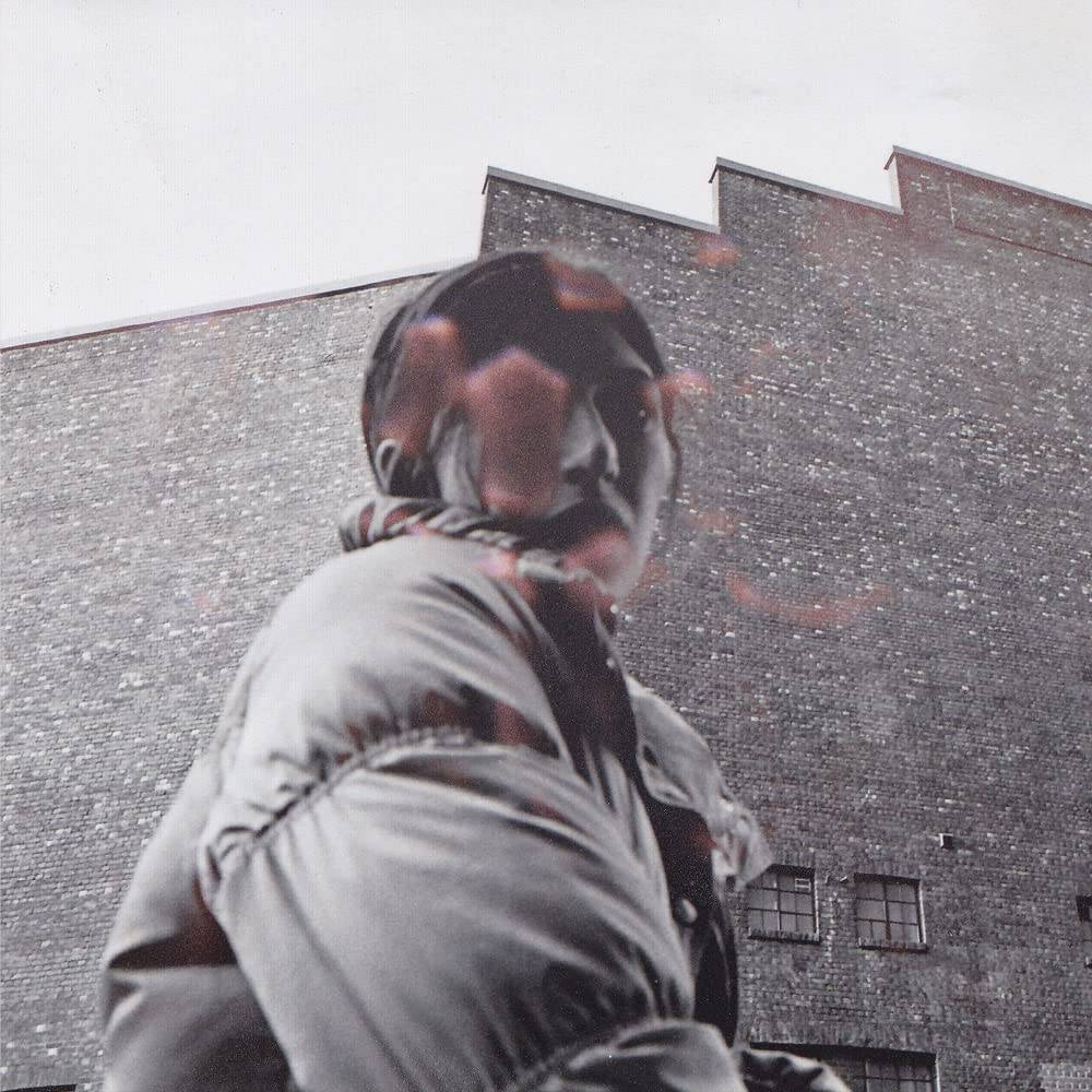 ALDOUS HARDING - Warm Chris - LP