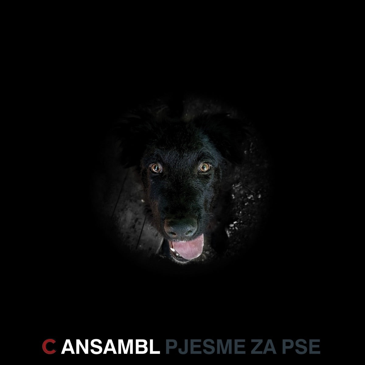 C ANSAMBL - Pjesme za pse - LP