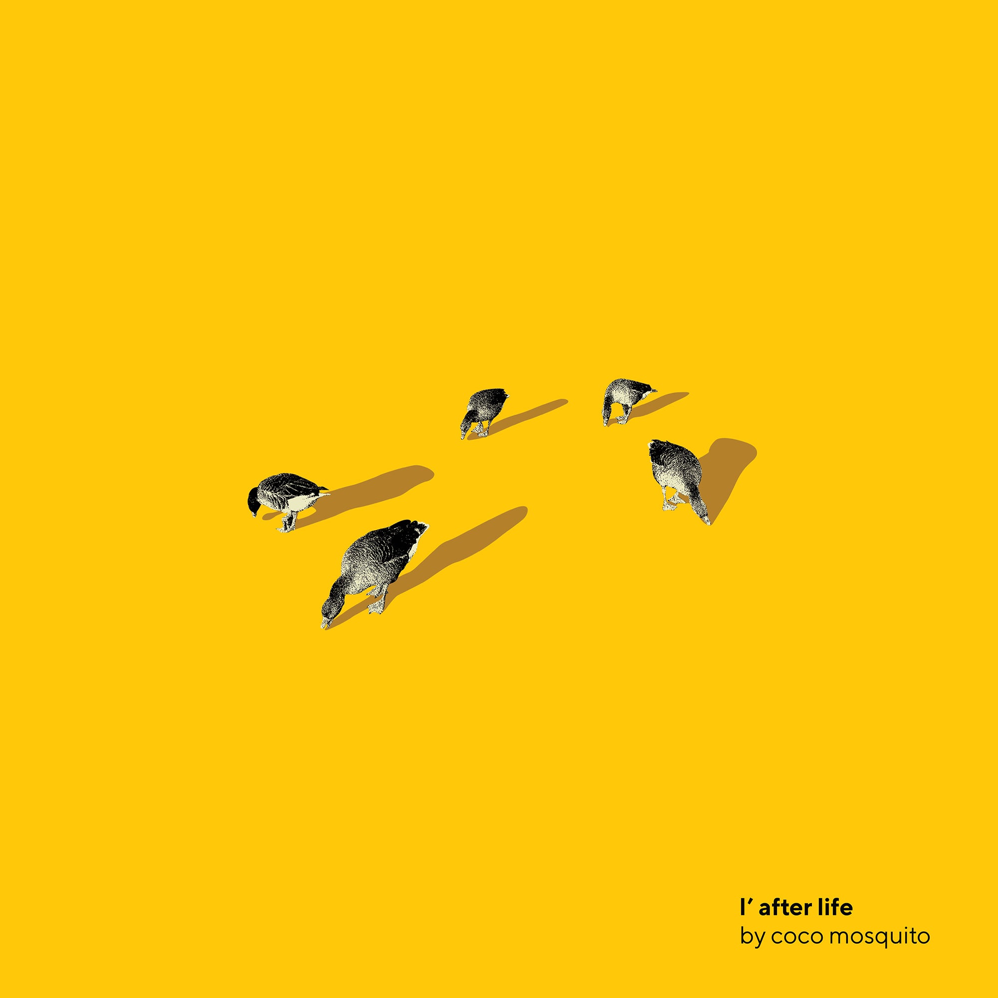 coco mosquito - l'after life
