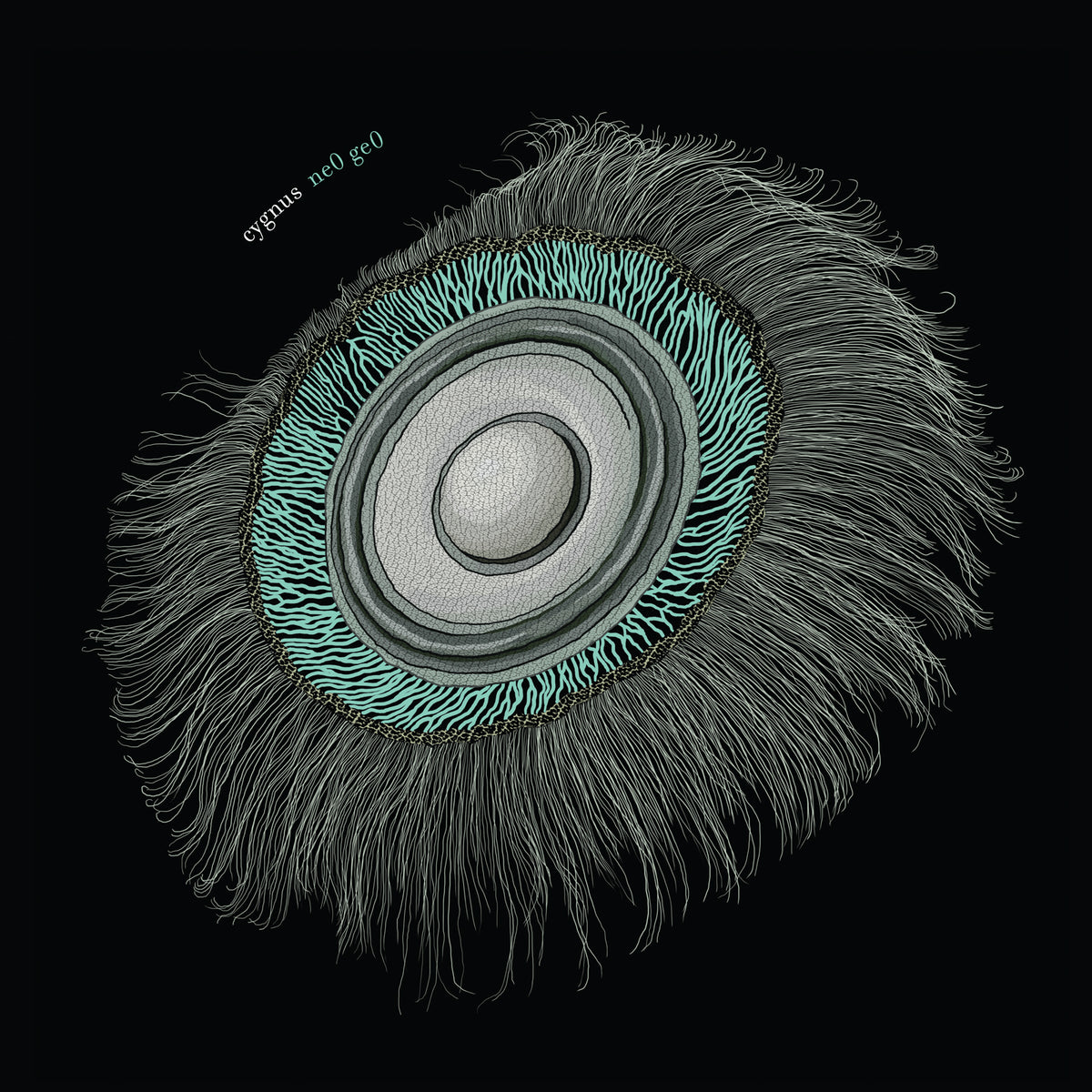 CYGNUS - Ne0 Ge0 - 12"