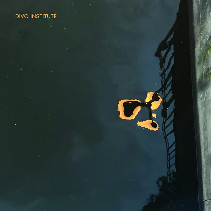 DIVO INSTITUTE - s/t - LP