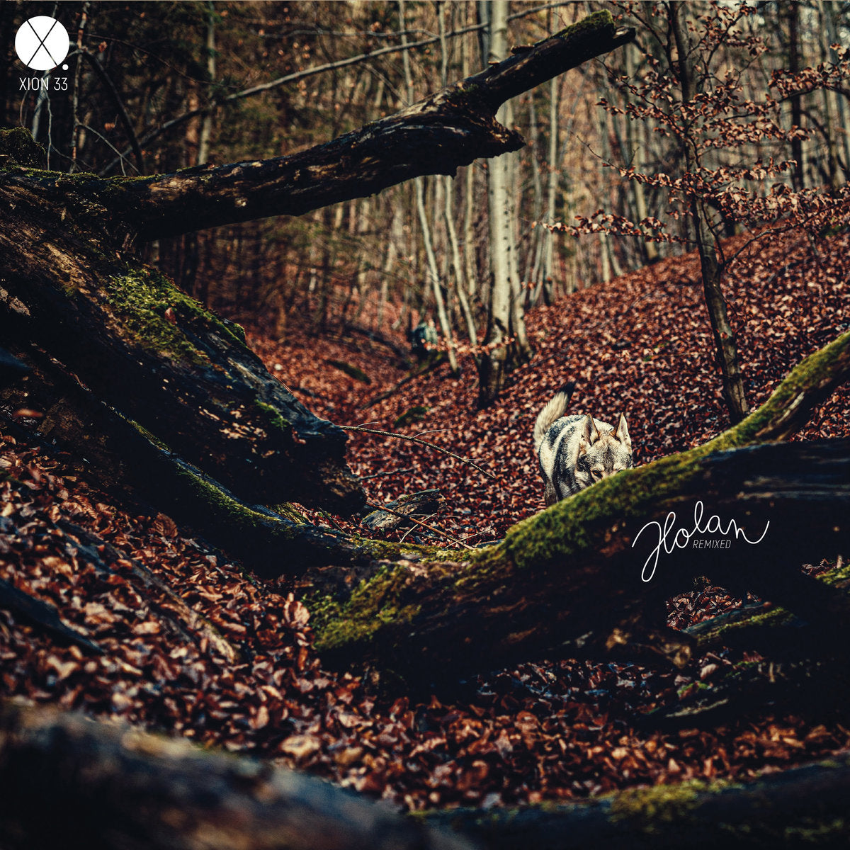 DLEEB & AHZ – Holan Remixed - LP