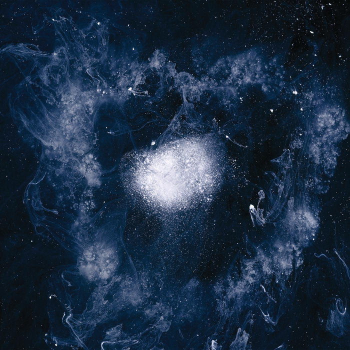 SWANS - My Father Will Guide Me Up A Rope To The Sky - LP
