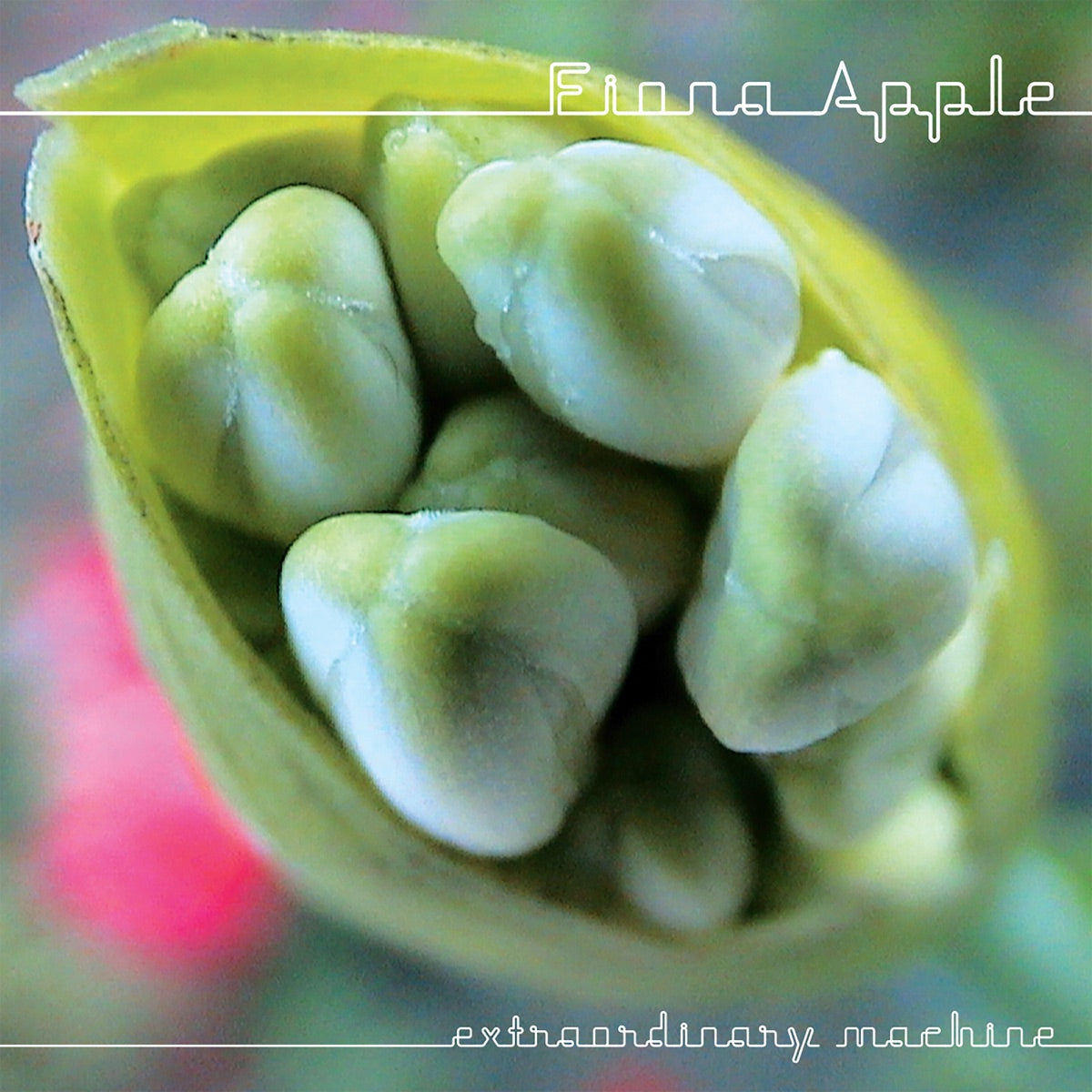 FIONA APPLE - Extraordinary Machine - 2LP