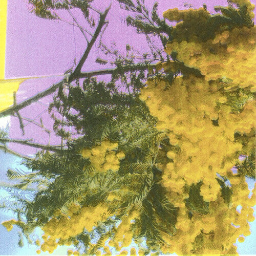 FOUR TET - Into Dust - 12"