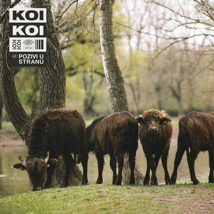 KOIKOI - Pozivi u stranu - CD