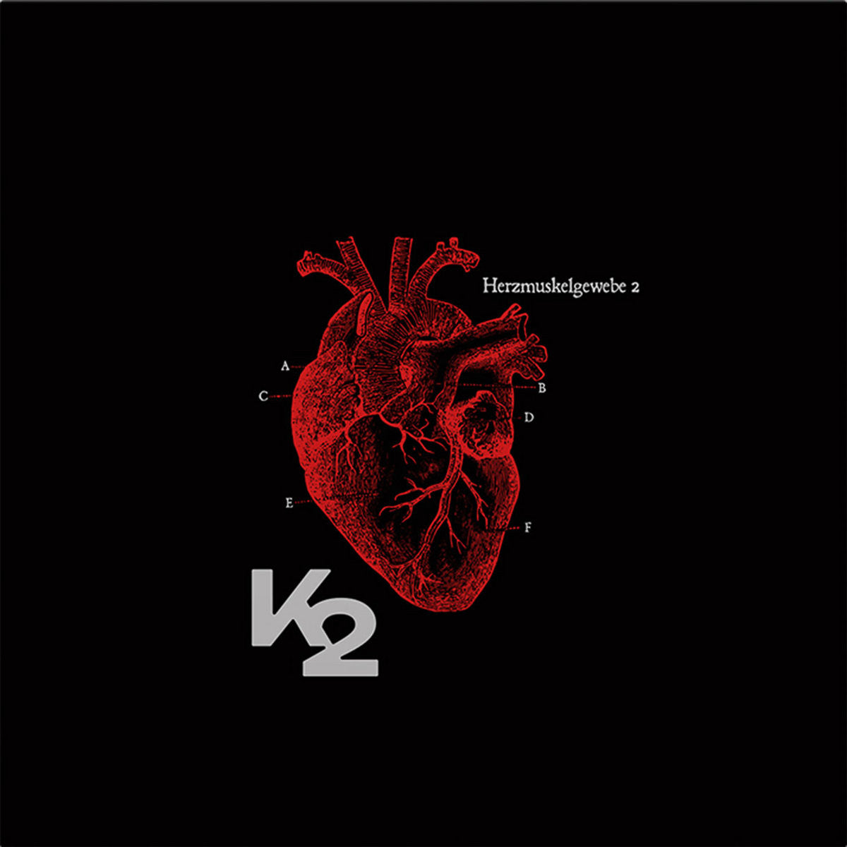 K2 - Herzmuskelgewebe - LP
