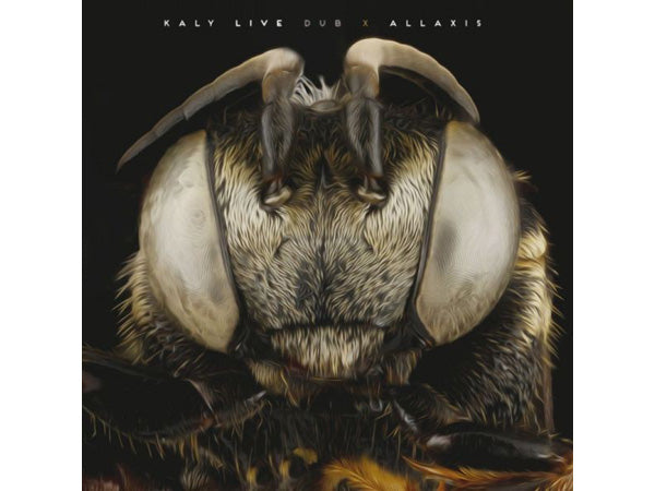 KALY LIVE DUB - Allaxis - CD