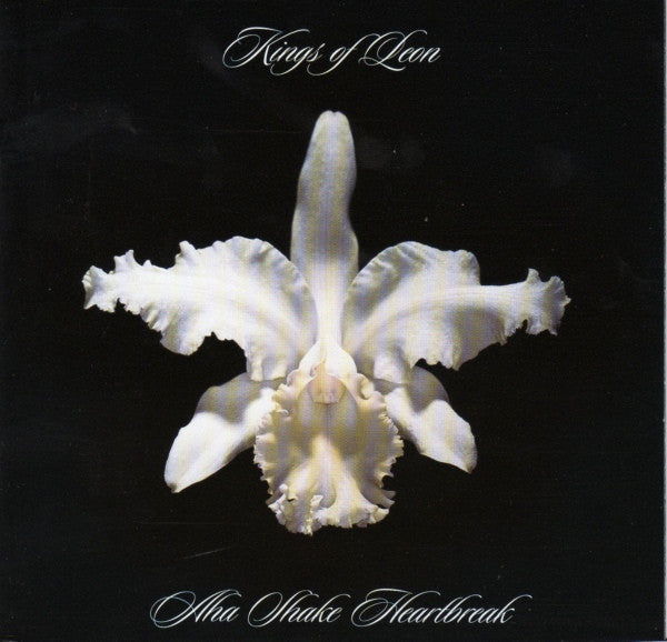 KINGS OF LEON - Aha Shake Heartbreak - 2LP
