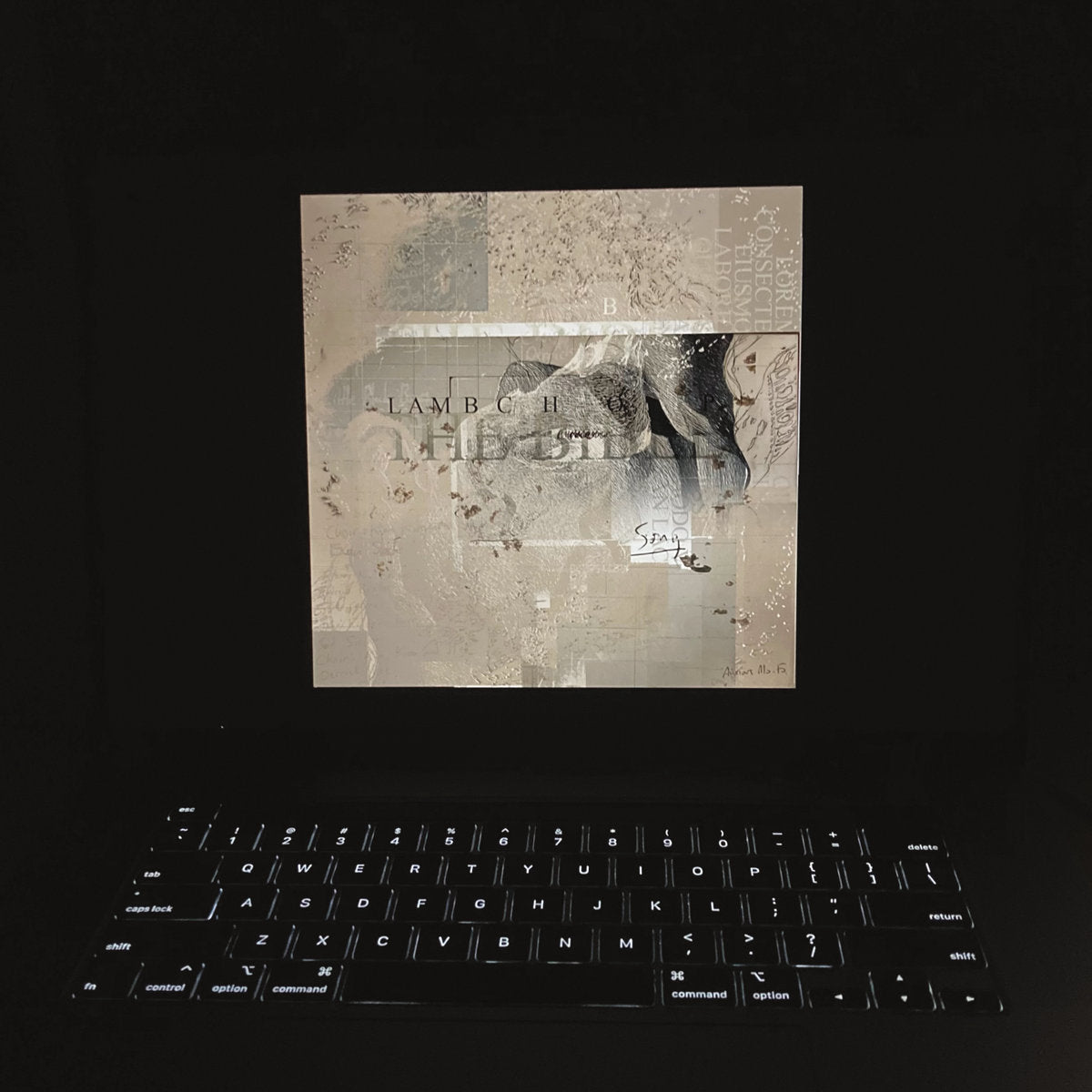 LAMBCHOP - Bible - 2LP