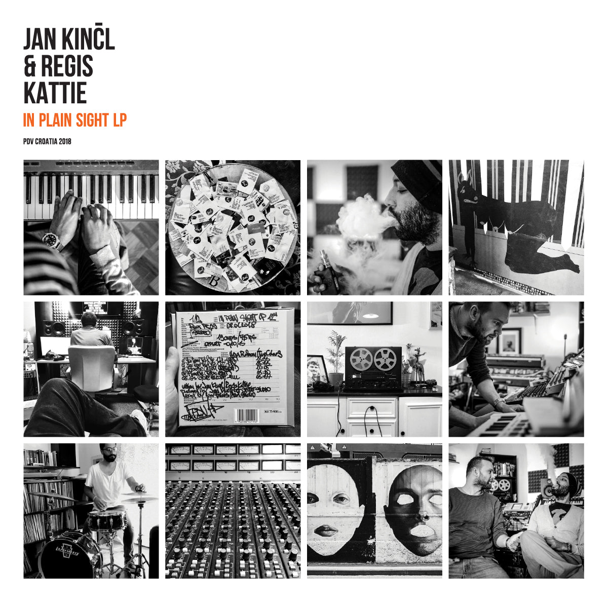 JAN KINCL & REGIS KATTIE - In Plain Sight