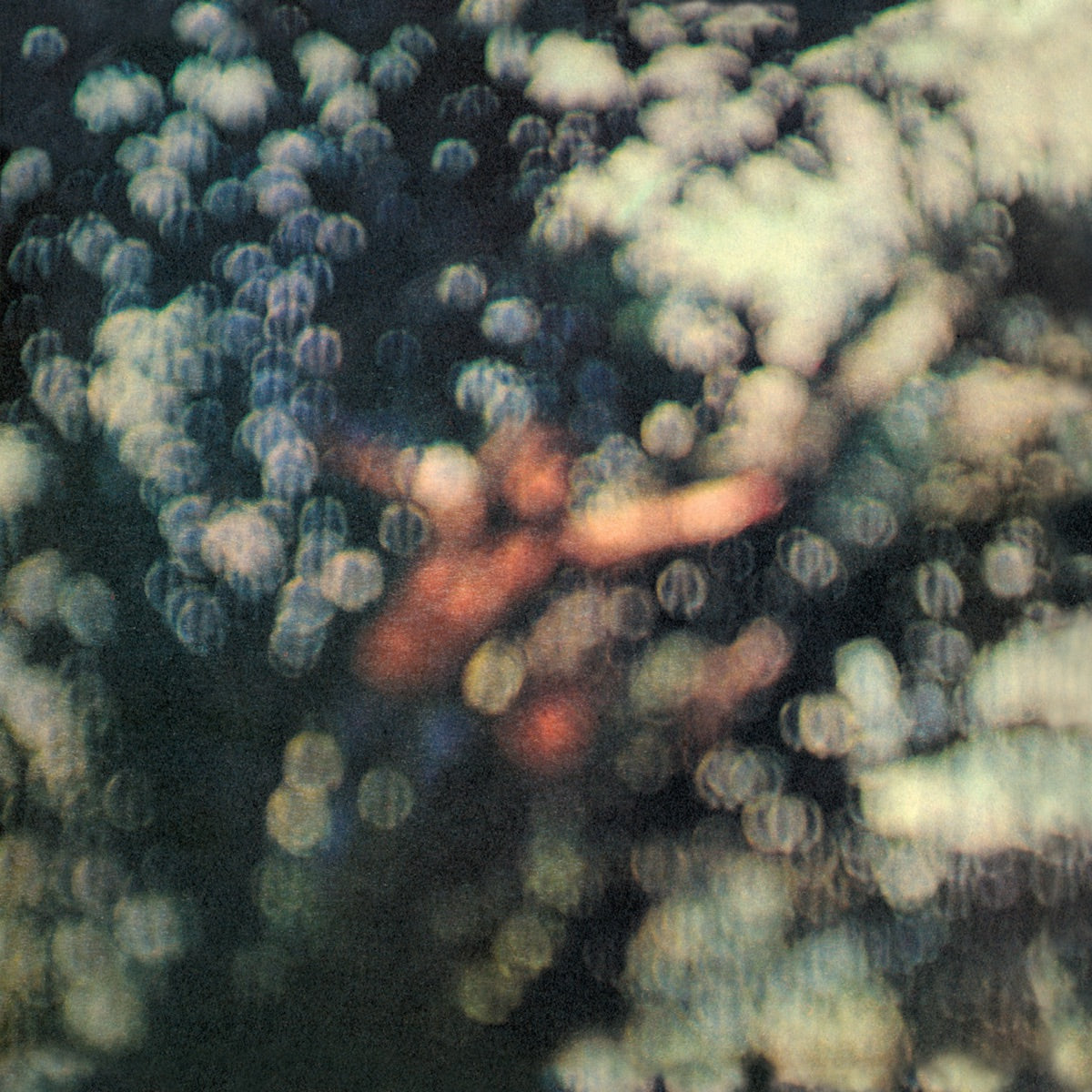 PINK FLOYD - Obscured by Clouds (2025 RM) - LP