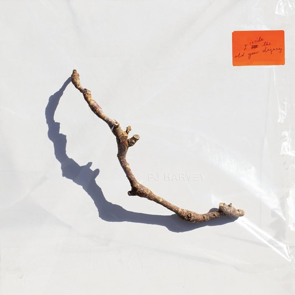 PJ HARVEY - I Inside The Old Year Dying - LP