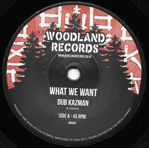 DUB KAZMAN - What We Want - 7"