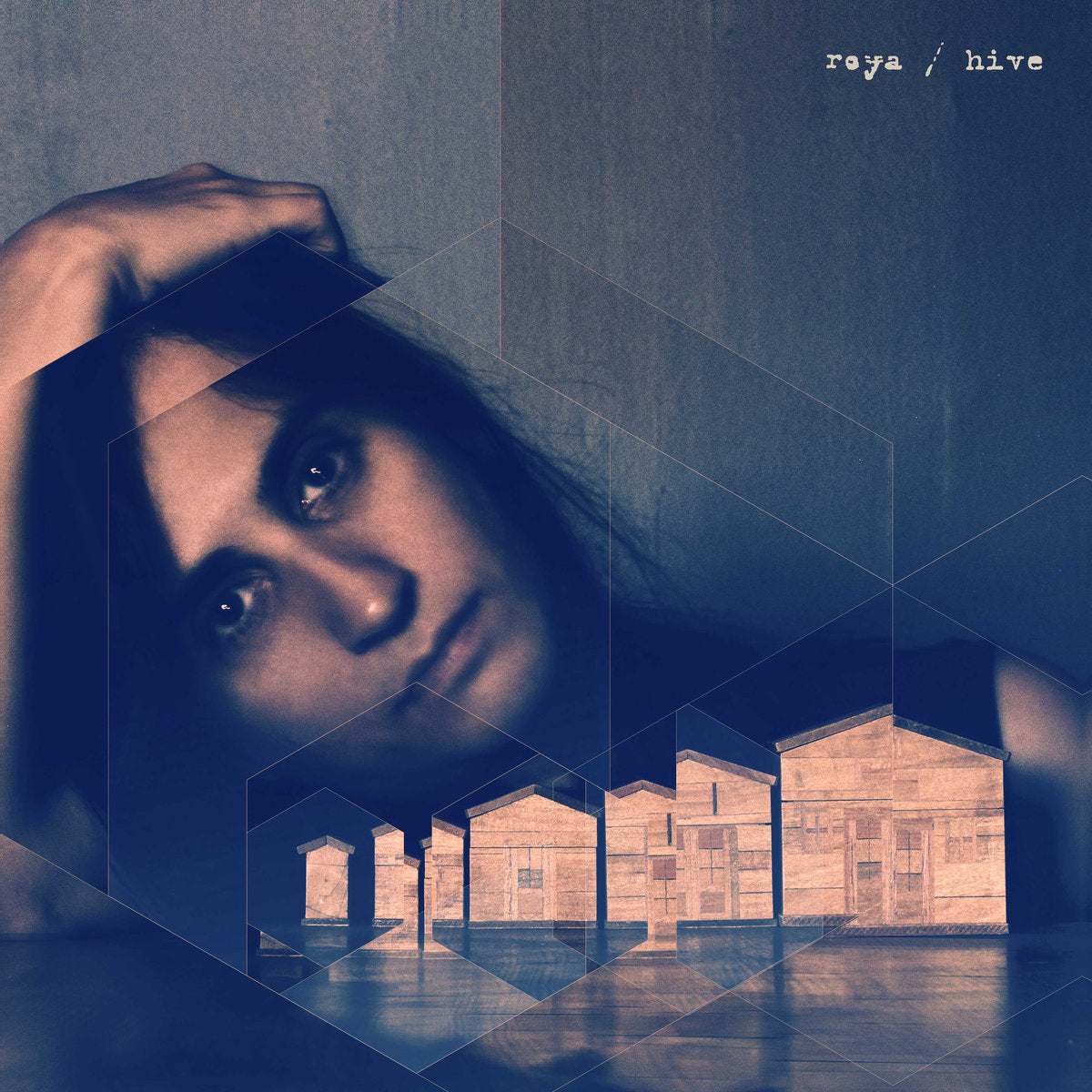 ROYA - Hive - LP