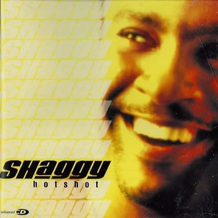 SHAGGY - HOTSHOT ULTRA MIX
