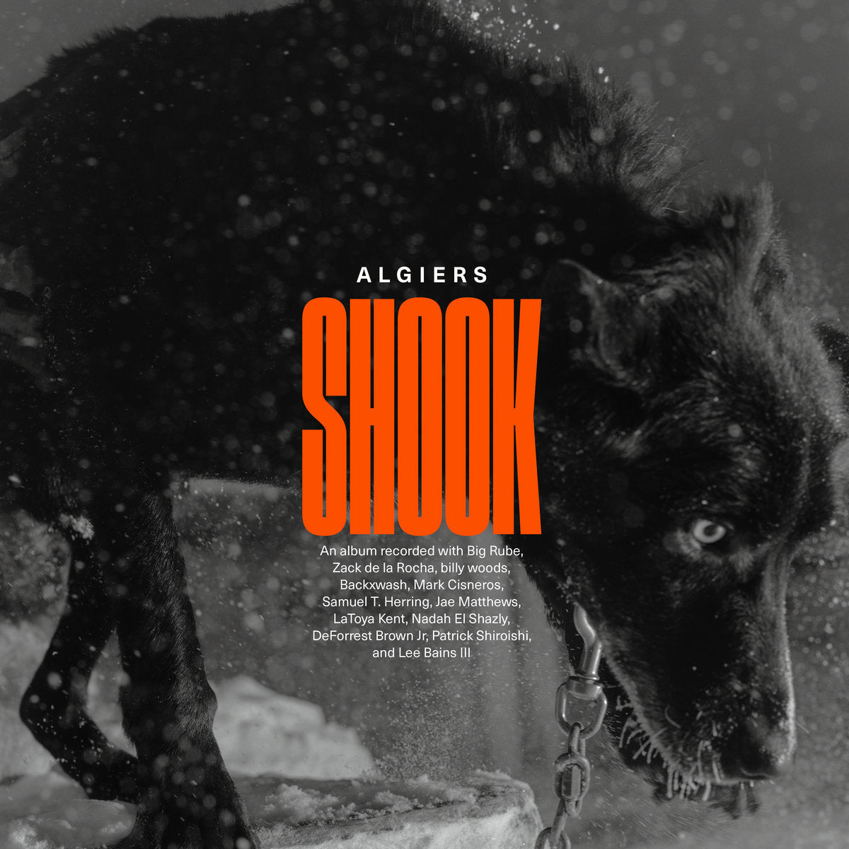 ALGIERS - Shook (gold) - 2LP