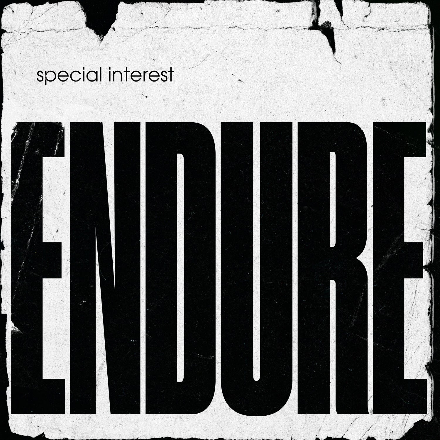 SPECIAL INTEREST - Endure - LP