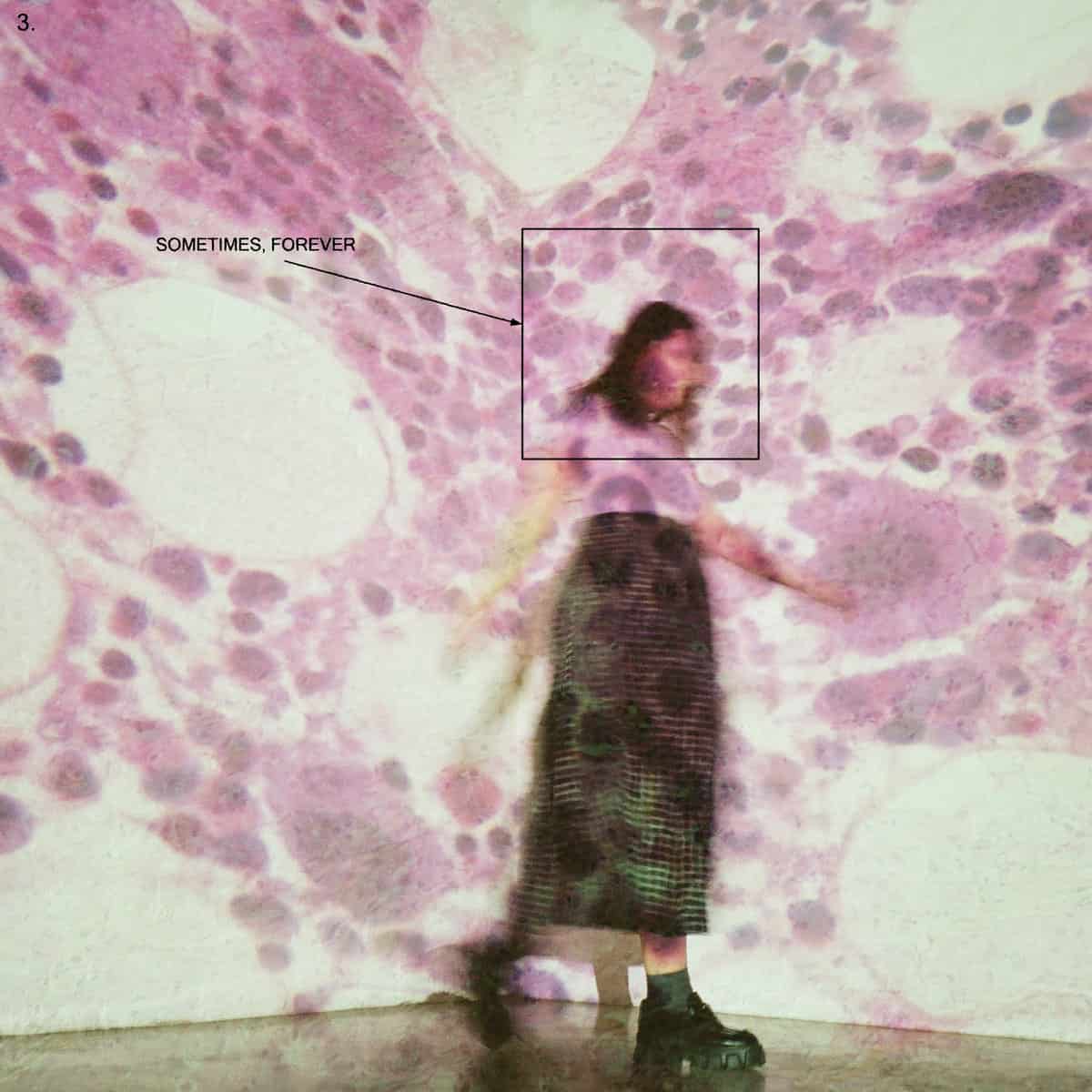 SOCCER MOMMY - Sometimes, Forever - LP