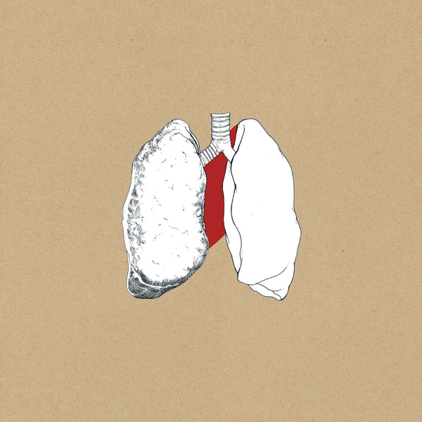 SWANS - The Beggar - 2LP
