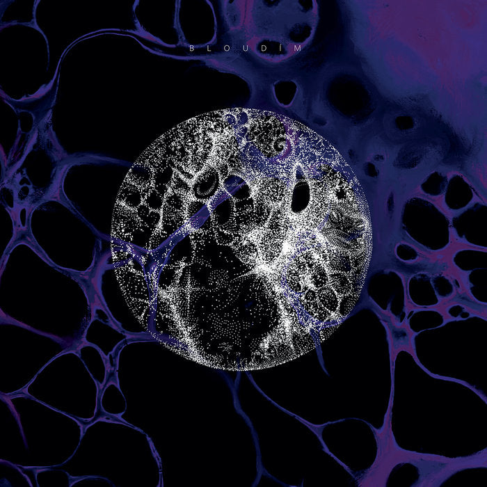 TOAD PLANET - Bloudím - LP
