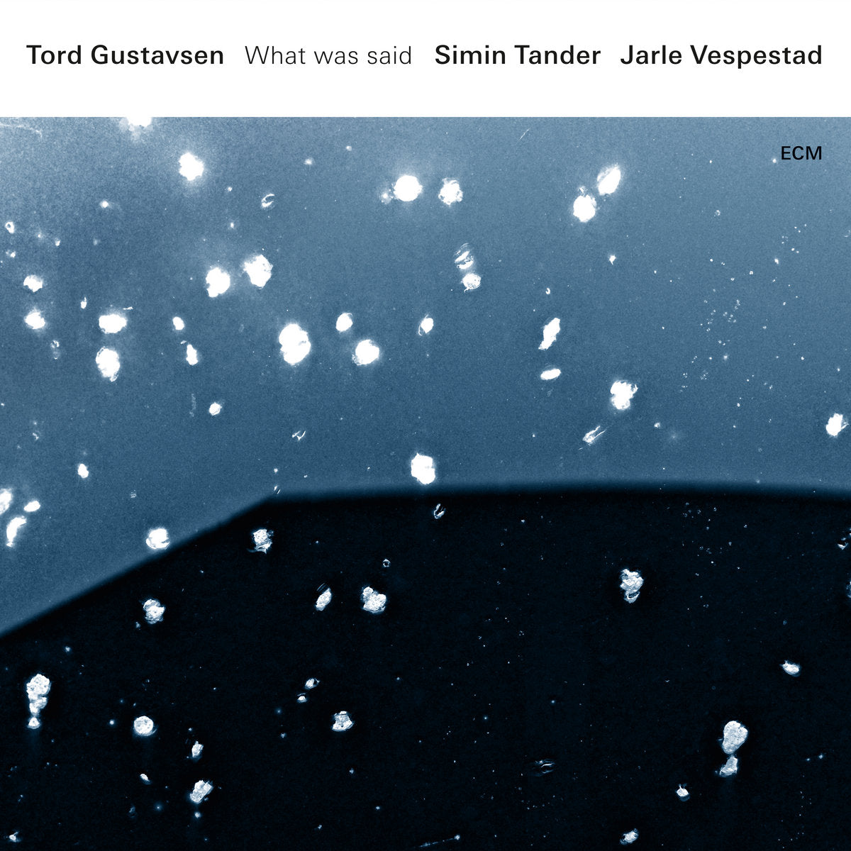 TORD GUSTAVSEN - What Was Said - 2LP