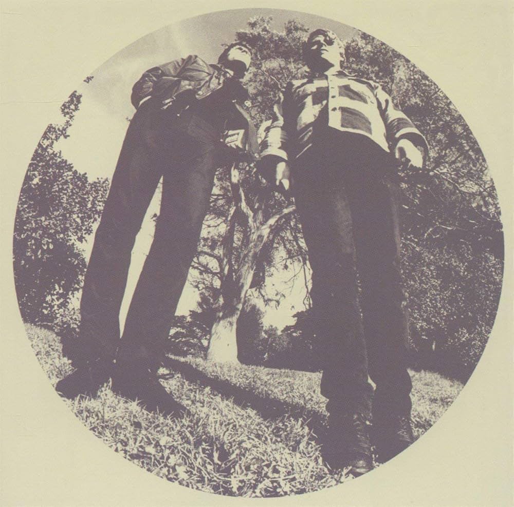 TY SEGALL & WHITE FENCE - Hair - LP