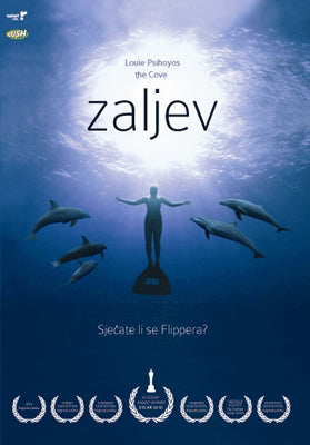 ZALJEV - DVD