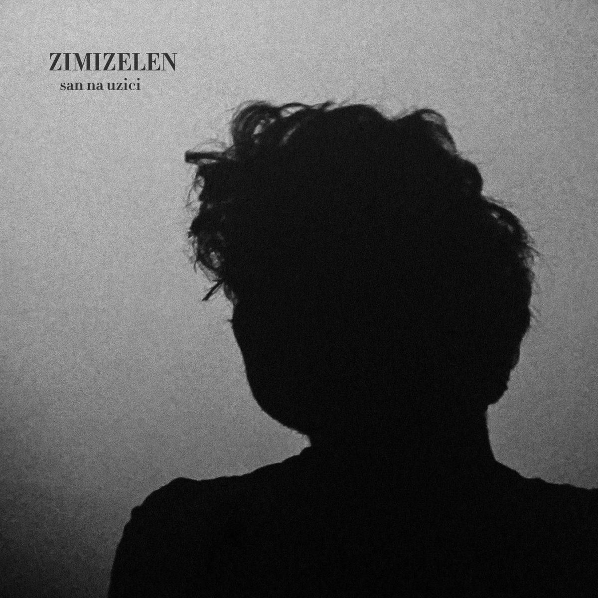 ZIMIZELEN - San na uzici - LP